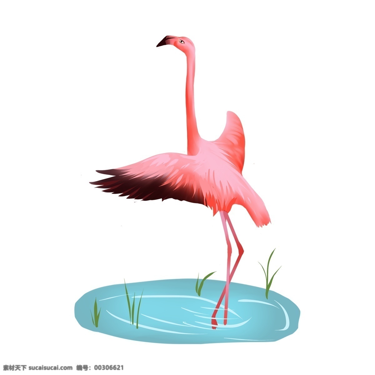 粉色 火烈鳥 動物 夏天 元素 亮眼 裝飾 免 摳 鳥