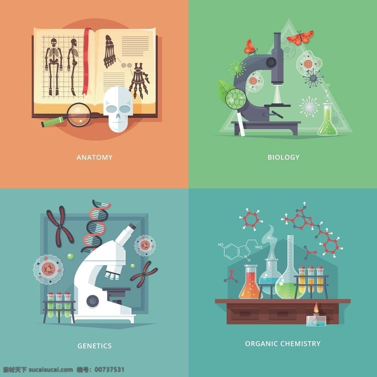科學研究 卡通 矢量 科學 研究 矢量素材 設計素材 背景素材