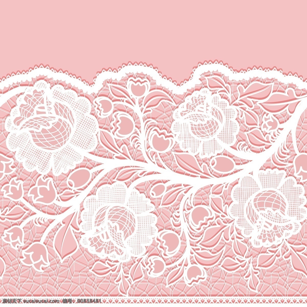 白色 蕾丝 花卉图片 花卉 背景 花边 矢量图 矢量 高清图片