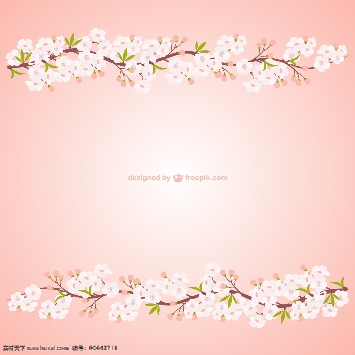 粉色 桃花 背景 矢量 花朵 白色