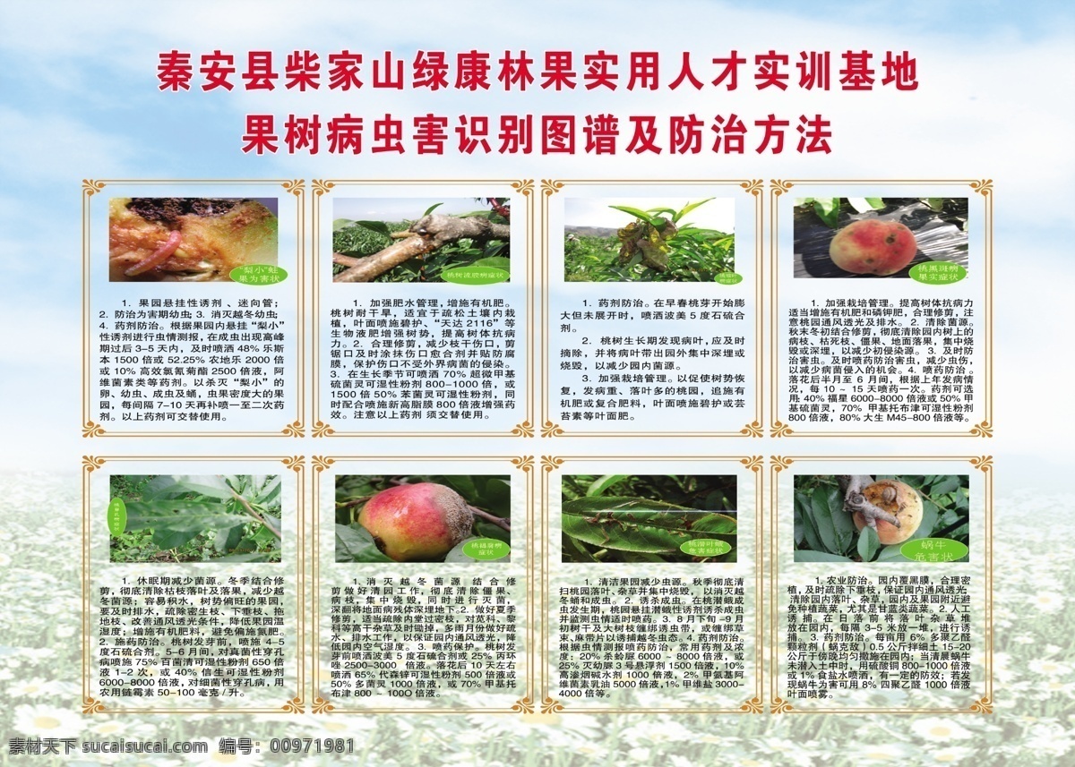 果樹 病蟲害 識別 圖譜 防治方法 識別圖譜 及防治方法 原創(chuàng)設(shè)計(jì) 原創(chuàng)展板