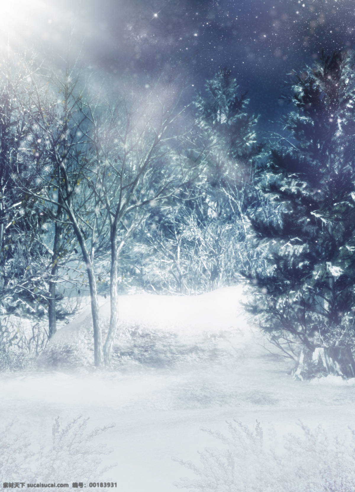 夢幻 雪景 高清 雪地 壁紙 雪 積雪