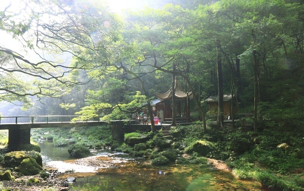 張家界金鞭溪 張家界 金鞭溪 湖南風(fēng)光 原始森林 小橋 清晨 湘西 小溪 溪水 自然景觀 山水風(fēng)景
