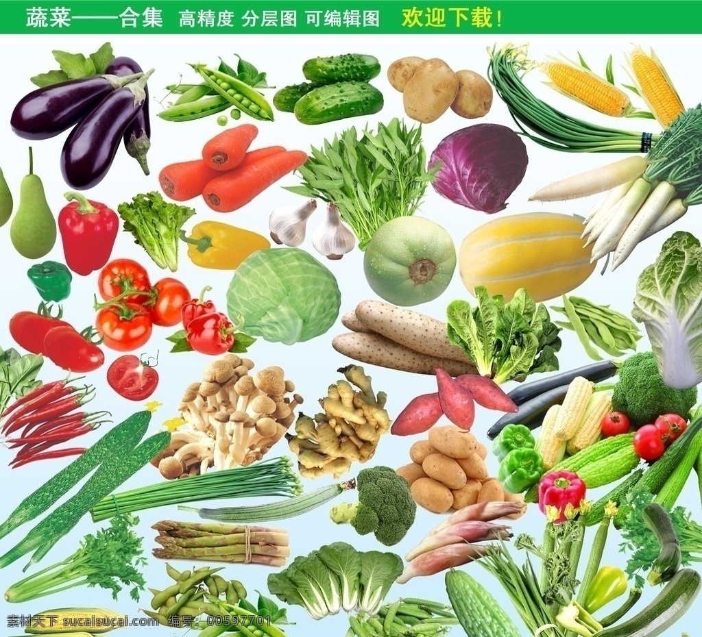 蔬菜合集 天然 綠色食品 蔬菜 合集 天然綠色食品 茄子 豆角 黃瓜 土豆 玉米 辣椒 包菜 白菜 蘿卜 紅辣椒 莧菜 紅菜 大白菜 空心菜香菇 紅薯 苦瓜 西紅柿 姜 生姜 山藥 竹筍 豌豆 小筍 扁豆 高精度分層 分層 源文件 可編輯圖 蔬菜全集