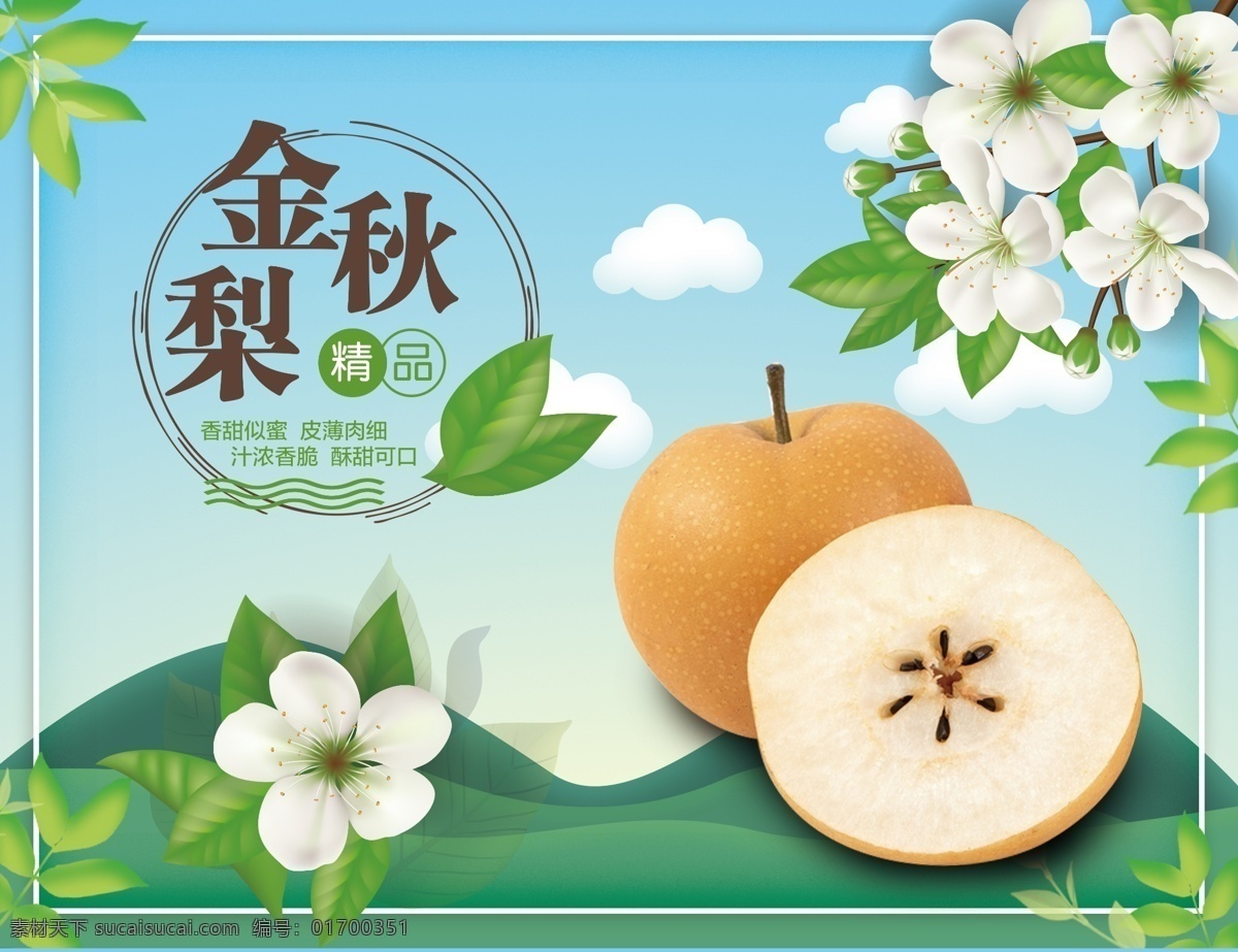 金秋梨圖片 金秋梨 水果 梨 水果海報(bào) 水果單頁 梨花 藍(lán)色 綠色 秋梨 水果梨 dm宣傳單
