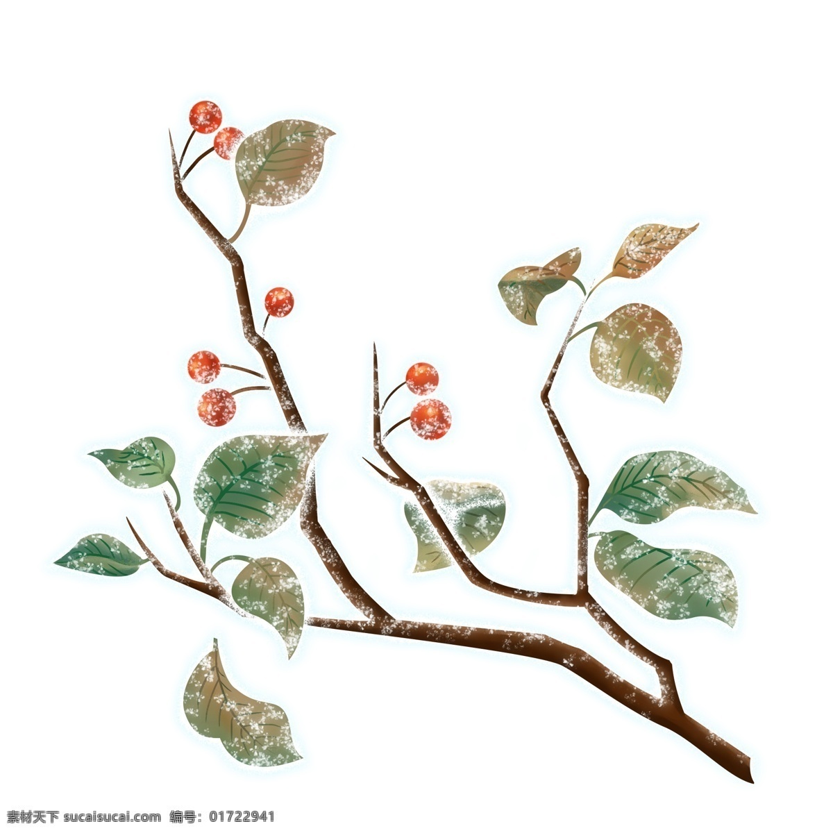 手繪 霜降 落葉 紅果 果實(shí) 霜雪 枯葉 枯黃 手繪落葉 手繪果實(shí) 樹枝 裝飾圖案 霜降落葉