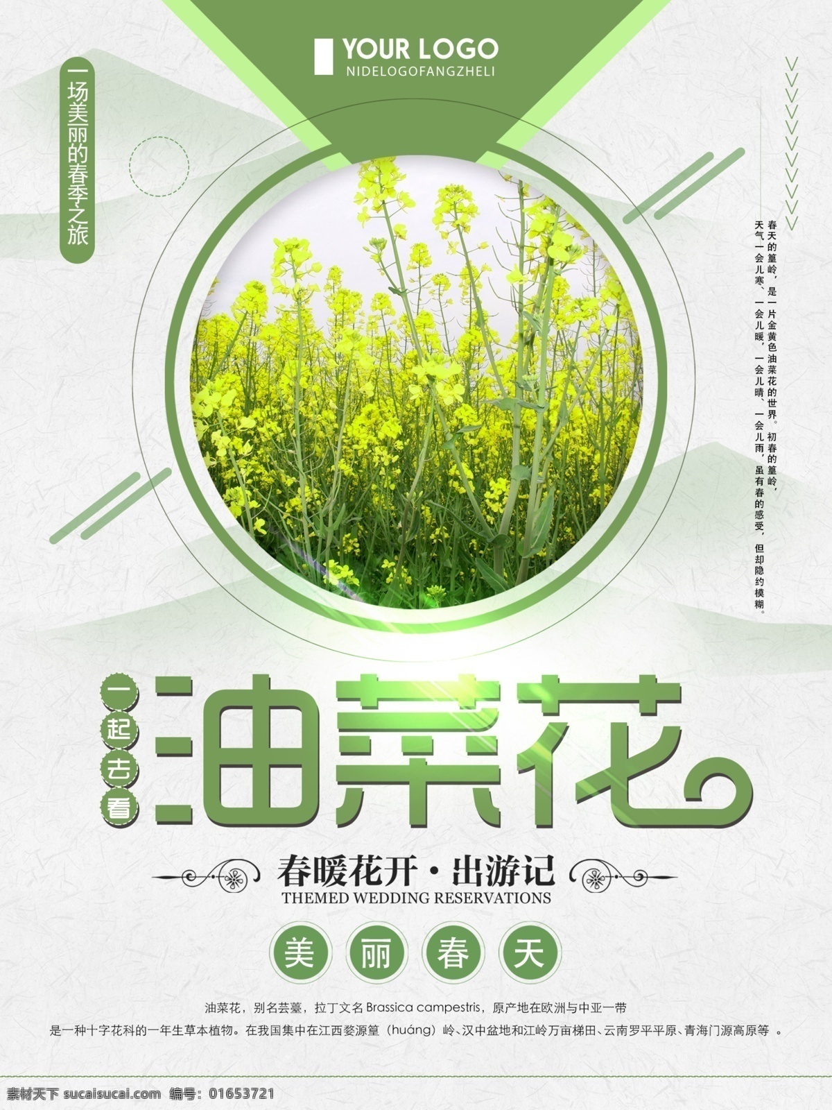綠色 清新 簡約 一起 去 看 油菜花 旅游 海報 旅游海報 清新旅游海報