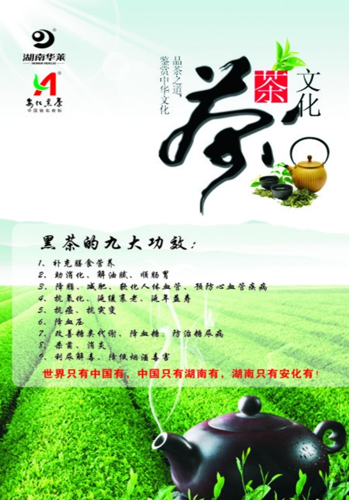 茶文化 茶海報(bào) 綠茶 安化黑茶 茶園 茶莊 矢量圖