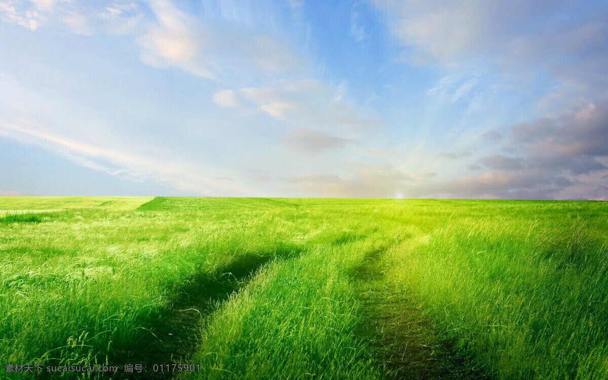 梦幻草原 草地 天空 白云 光芒 日光 太阳 绿地 绿草 小草 草原 美丽草地 自然风景 自然景观
