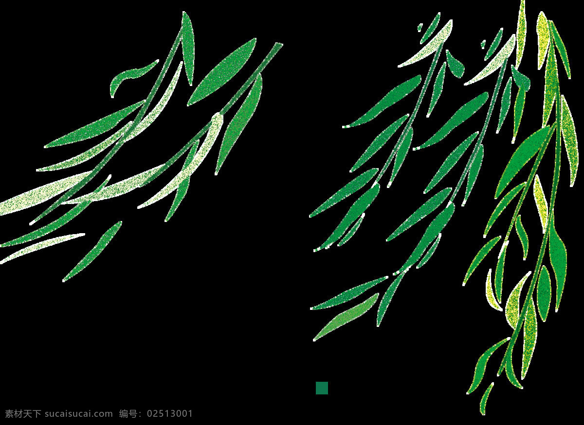 垂柳枝png 插画 绘画 艺术 垂柳 柳树枝 柳条 柳枝 绿色 植物 文化艺术 绘画书法