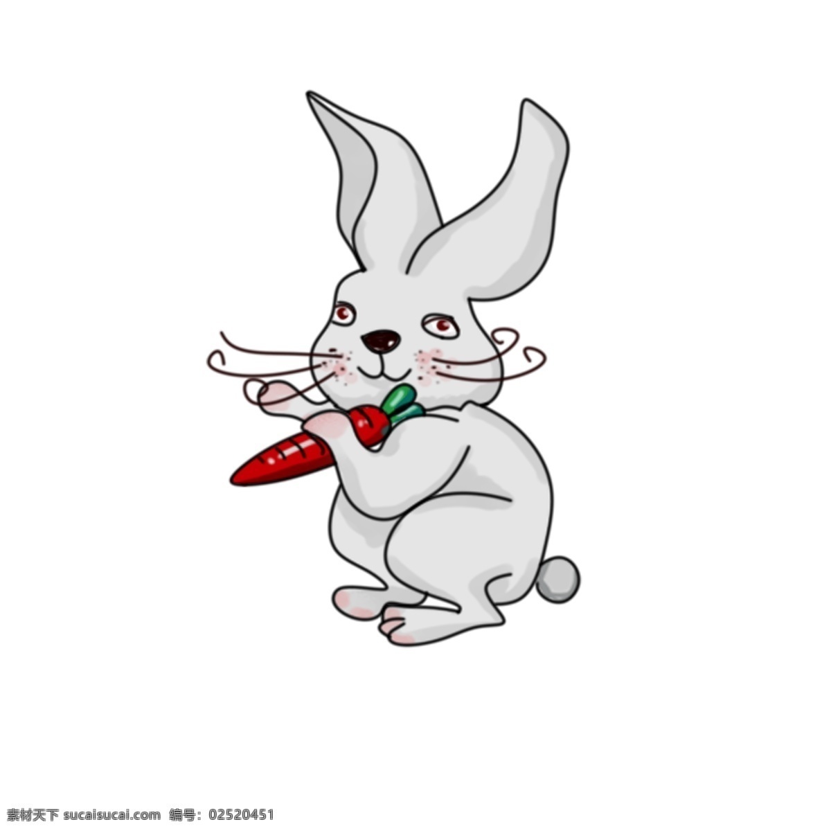 十二生肖 兔子 可爱 卡通 手绘 动物 喜庆 萝卜 免 抠 胡萝卜 白兔 生肖 免抠