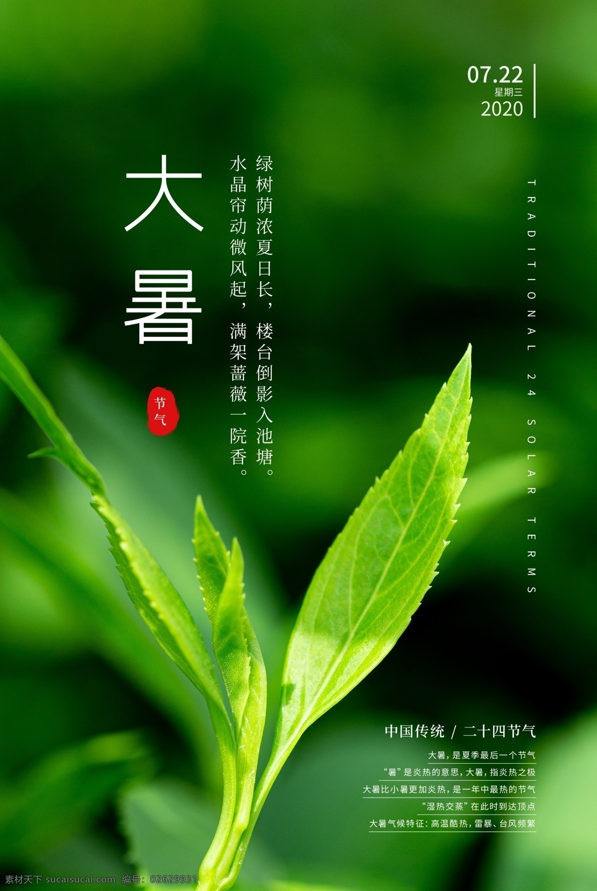 大暑海報 大暑 立夏 夏至 小暑 微信 海報 朋友圈 刷屏 系列 二十四氣節(jié) 節(jié)日 節(jié)氣 房地產 高端 大氣 意境 立夏微信 驚蟄微信 小暑微信 大暑微信 谷雨微信 清明微信 春分微信 雨水微信 處暑微信 夏季 春季