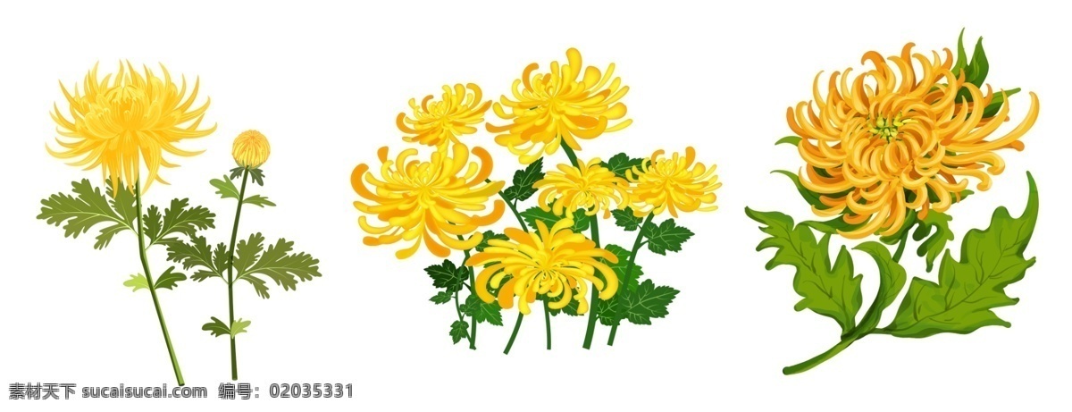 菊花展 菊花展海報 菊花展廣告 菊花展宣傳 菊花展展架 菊花展x展架 菊花展易拉寶 菊花展宣傳單 菊花展傳單 菊花展橫幅 菊花展條幅 菊花展圍墻 菊花展吊旗 植物園菊花展 公園菊花展 金秋菊花展 菊花藝術(shù)節(jié) 菊花文化節(jié) 菊花攝影 北京菊花展 上海菊花展 荊門菊花展 武漢菊花展 小清新 菊之韻