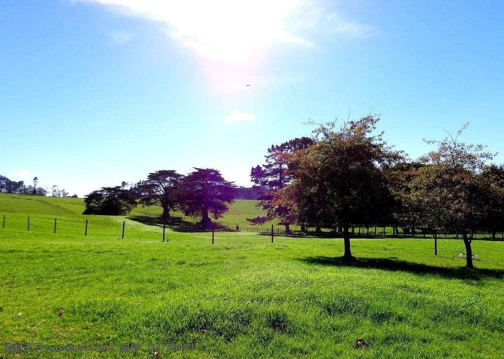 新西兰 农场 风光 蓝天 白云 山坡 绿树 绿地 草地 围栏 新西兰风光 自然景观 自然风景