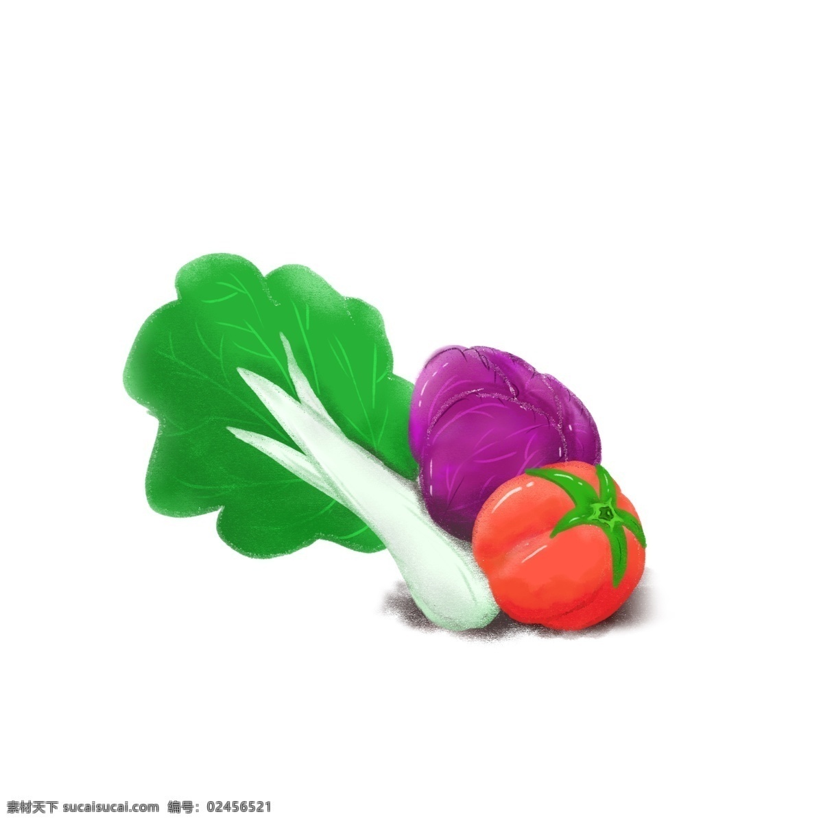 健康 蔬菜 果蔬 大白菜 紫 包 菜 红 番茄 手绘 可爱 紫包菜 红番茄