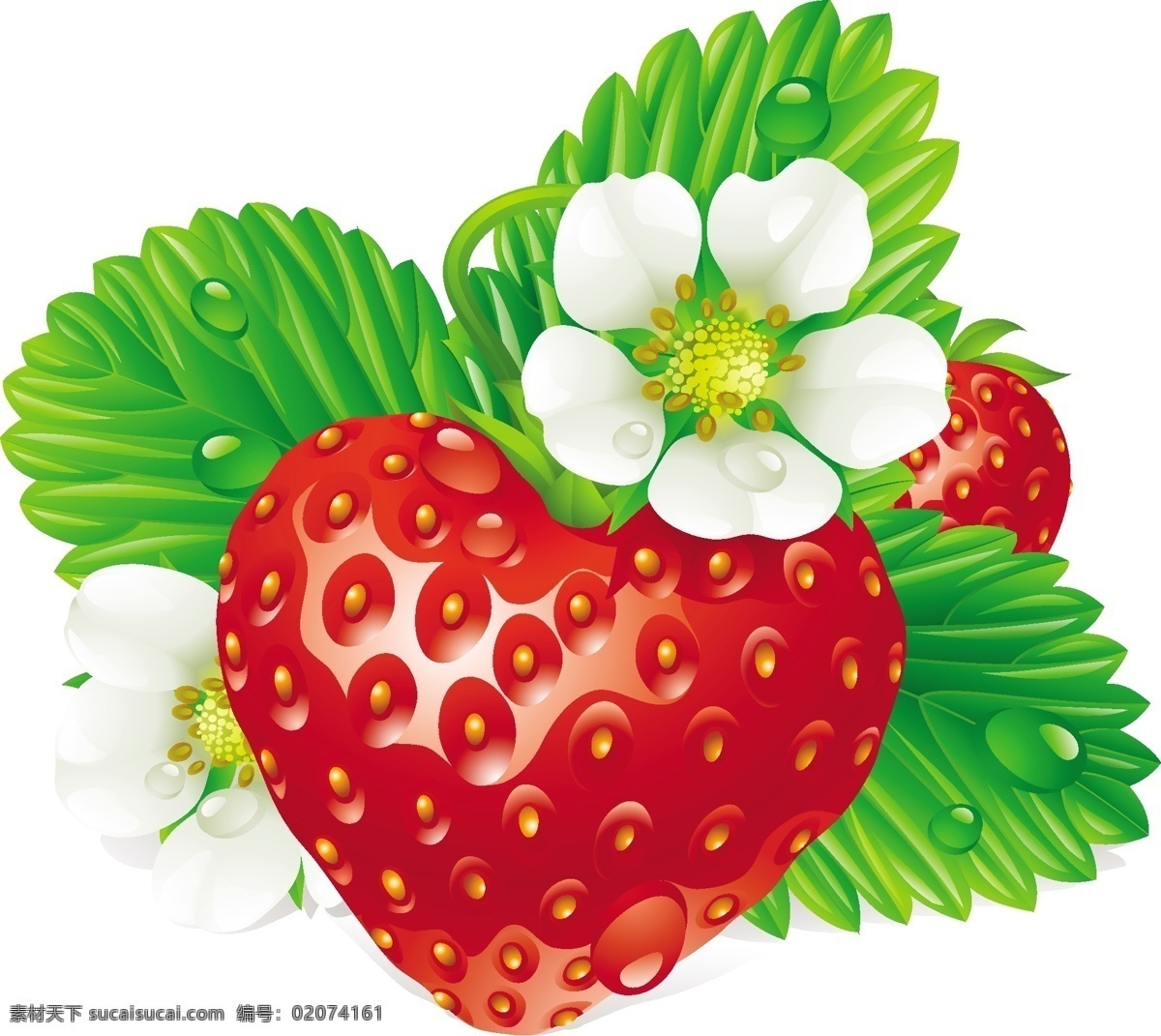 背景 草莓 潮流 底纹 花朵 花卉 绿色 绿叶 梦幻 鲜花 水珠 水滴 矢量 模板下载 清新 时尚 水果 生物世界 矢量图 日常生活