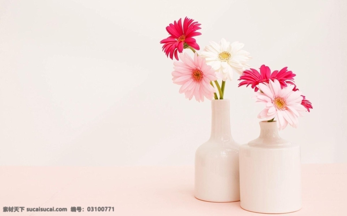 简约 家居 浪漫 背景 大气 背景墙 花朵 粉色 花瓶 广告背景