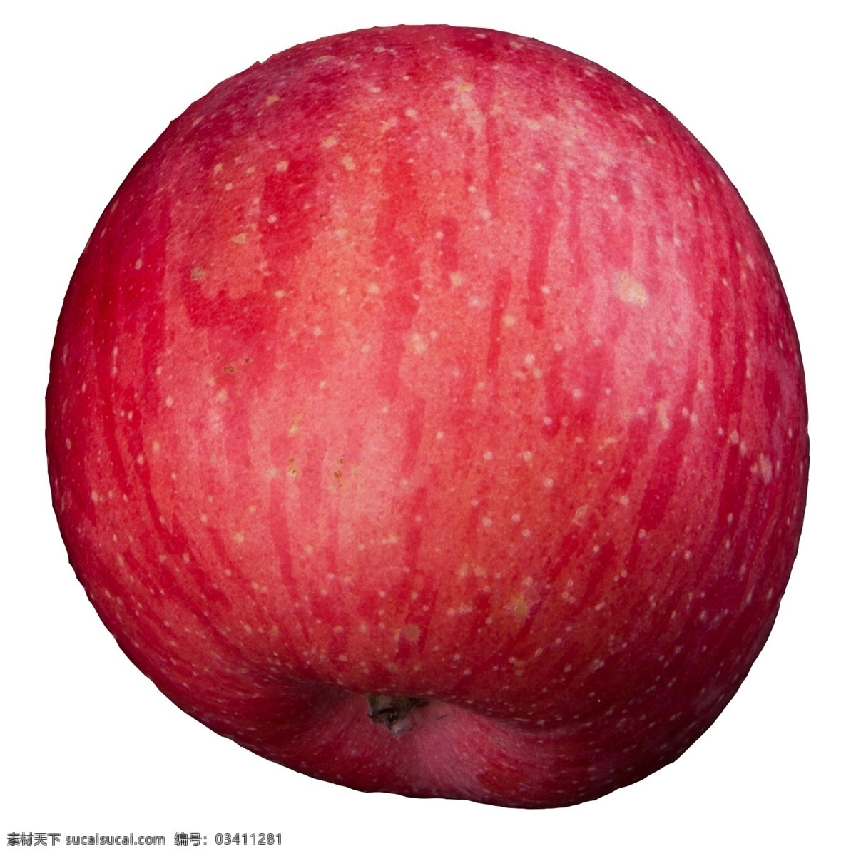 实拍 果林 果树 一个 苹果 红富士 红富士苹果 大苹果 大红苹果 种植水果 苹果果实