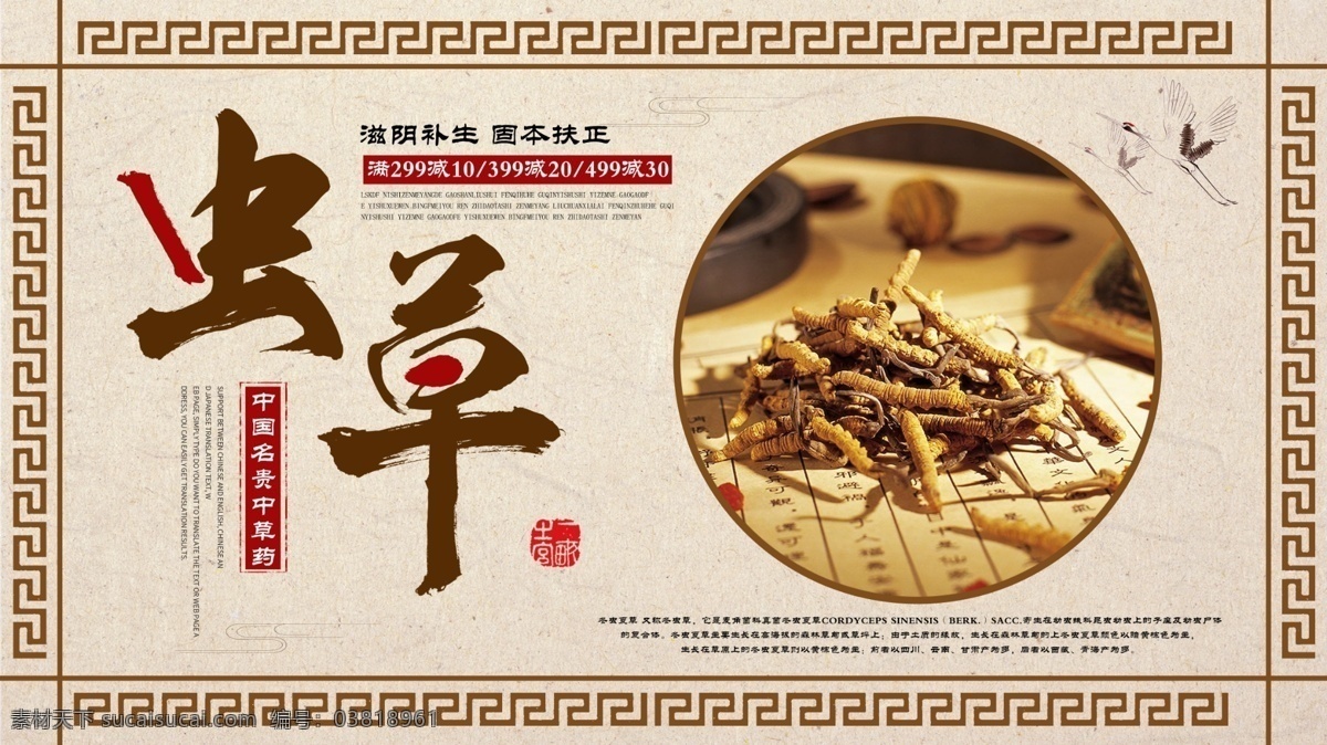 黄色 简约 中国 风 传统 中药 虫草 促销 展板 中国风 养生 药材 中医