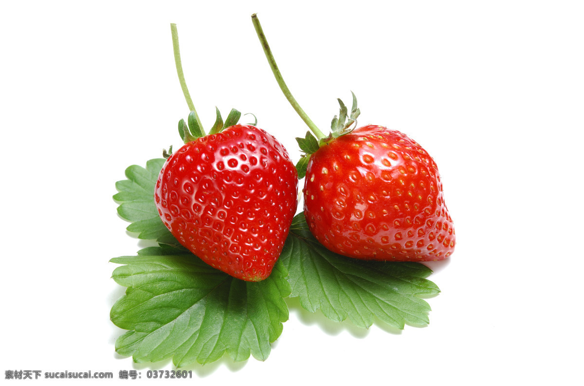 水果免费下载 草莓 单色背景 高清 红色 绿叶 水果 诱人 两个 风景 生活 旅游餐饮
