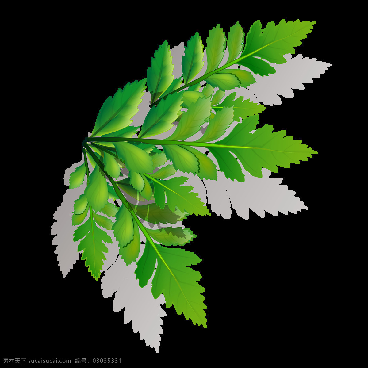 綠色相框 邊框 花紋 花邊 角邊 矢量邊框 歐式花邊 歐式邊框 精美邊框 歐式 精美 時尚 黑白 流行 矢量 黑色花邊 矢量花邊 古典邊框 古典花紋邊框 精美花紋邊框 矢量花紋邊框 婚慶花紋邊框 自然 素材圖片 背景 裝飾 綠色 免扣 自然背景