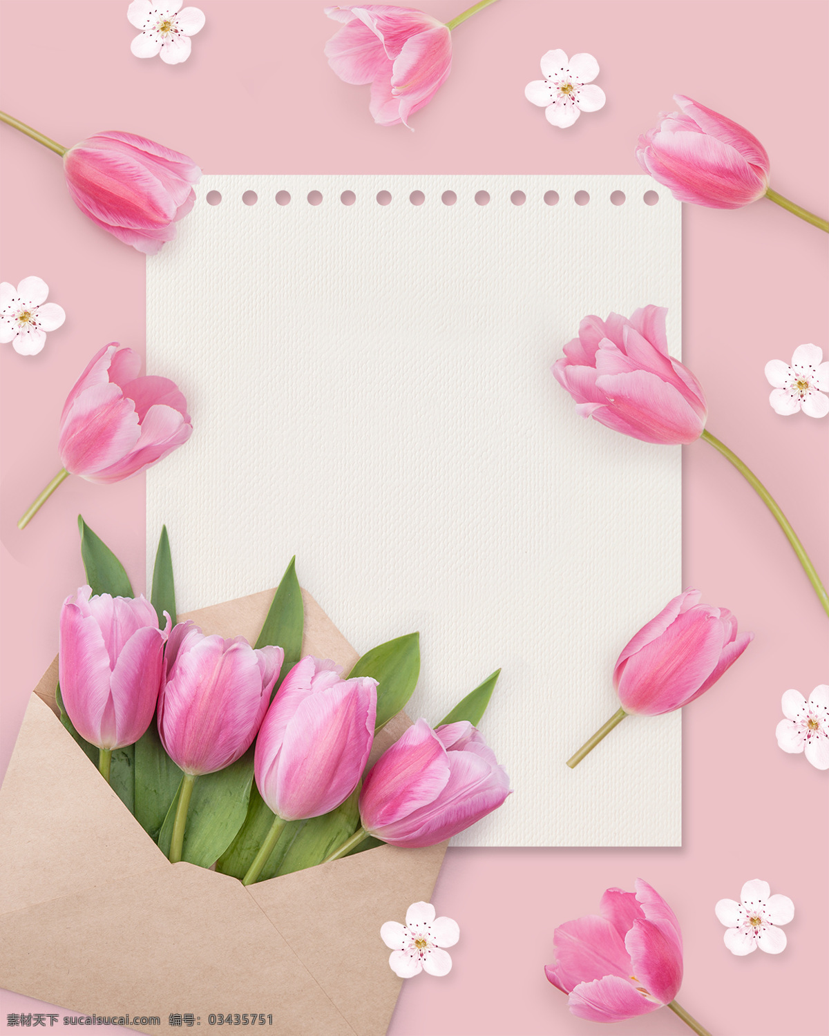 韩式 春季 春天 气息 唯美 海报 花朵 信封 浪漫 郁金香 信纸 粉色
