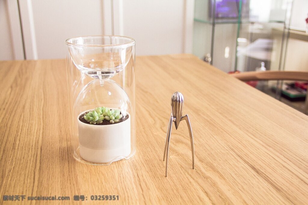 可爱 小巧 桌面 盆栽 白色 光合作用 绿色 容器 小植物 植物