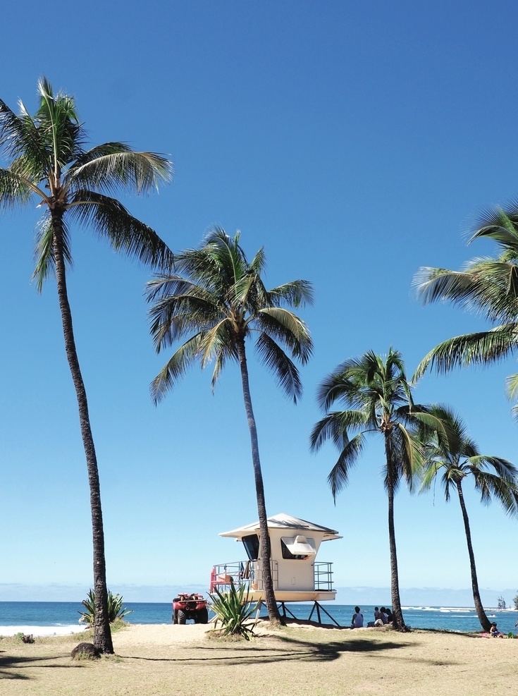 夏威夷圖片 夏威夷 夏威夷風(fēng)景 海灘 沙灘 棕櫚樹 海島 海底 海 海浪 風(fēng)景 海龜 南瓜 山 山脈 飛機(jī)艙 飛機(jī)窗 彩虹 菠蘿 雞蛋花 蜥蜴 小蜥蜴 車 汽車 國外美麗風(fēng)光