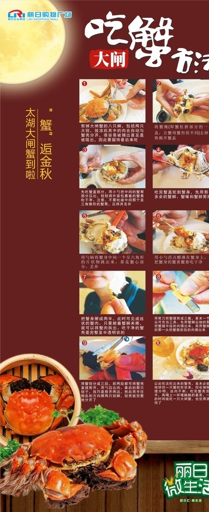 大閘蟹 宣傳單 麗日 麗日購物廣場 蟹 dm宣傳單