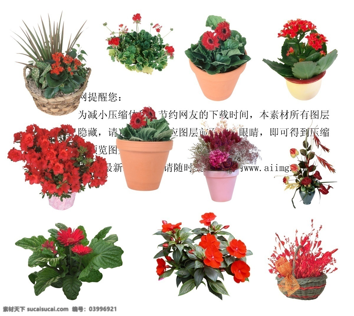 花盆 分層 花盆psd 源文件 模板下載 psd源文件
