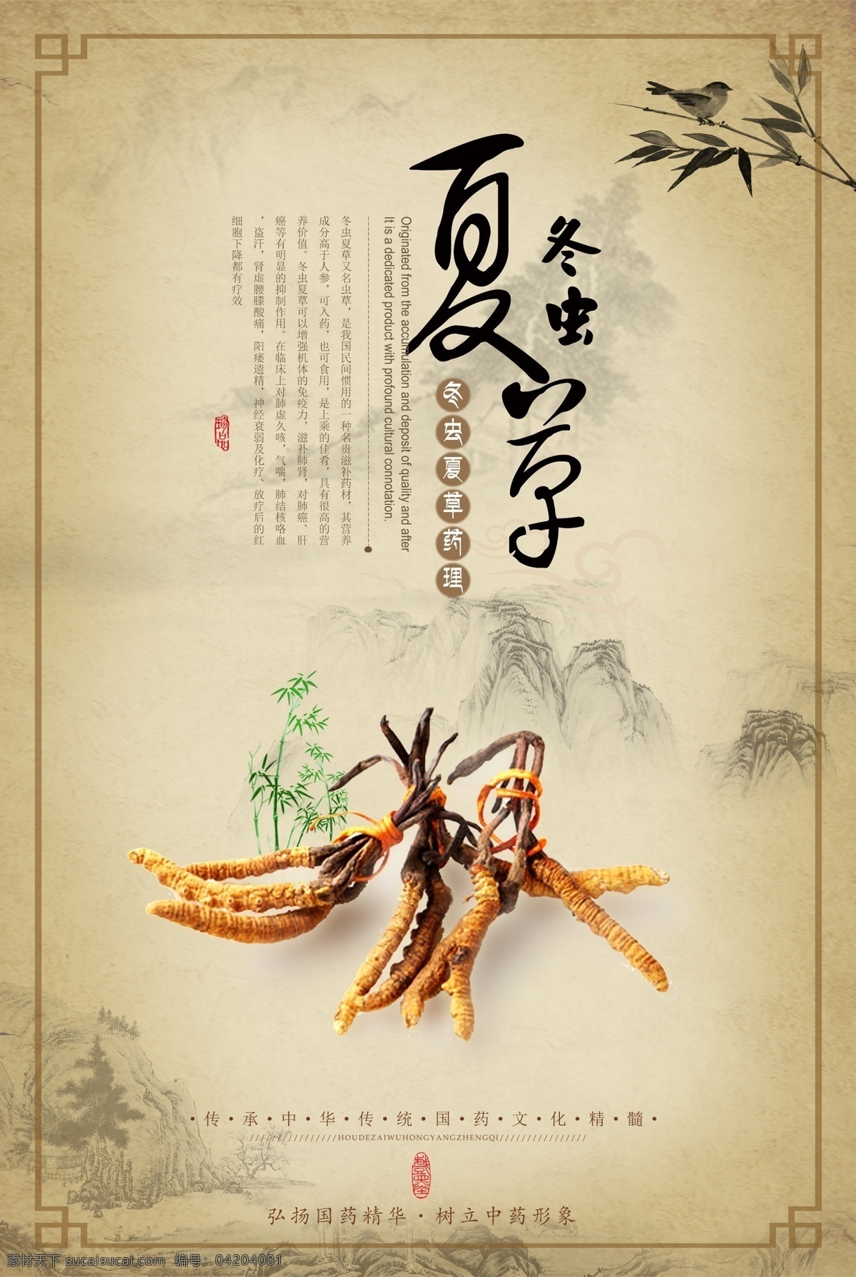 冬蟲夏草 藥材 國風 復古 宣傳海報 冬蟲 夏草 宣傳 海報