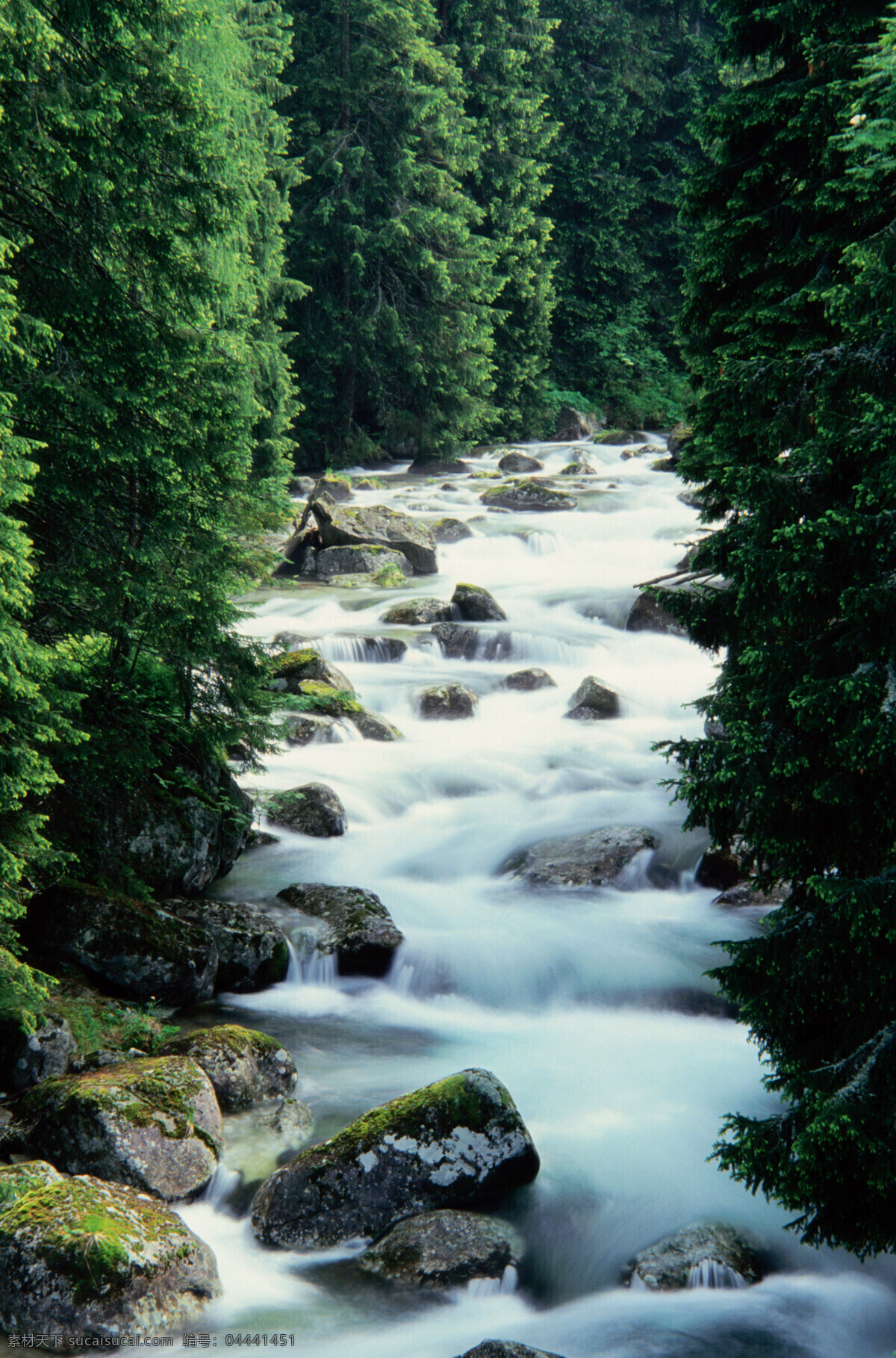 水林 山涧 瀑布 自然风光 美丽 自然 树林 水花 水雾 岩石 瀑布图片 风景图片