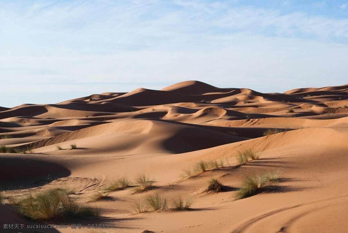 干旱沙漠沙丘 沙漠 荒漠 干旱沙漠 荒芜沙漠 干旱 荒芜 沙丘 砂砾 沙子 沙尘 细沙 沙漠风景 自然风光 自然景观 自然风景