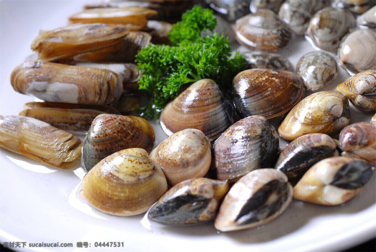 海鮮生鮮圖片 生鮮超市海報(bào) 海鮮超市海報(bào) 海鮮批發(fā)海報(bào) 賣(mài)海鮮海報(bào) 海鮮自助海報(bào) 海鮮大咖海報(bào) 海鮮海報(bào) 扇貝海報(bào) 海膽海報(bào) 大蝦海報(bào) 生蠔海報(bào) 海物海報(bào) 海產(chǎn)品海報(bào) 水產(chǎn)海報(bào) 生鮮海報(bào) 鮮蝦海報(bào) 美食海報(bào) 餐飲美食