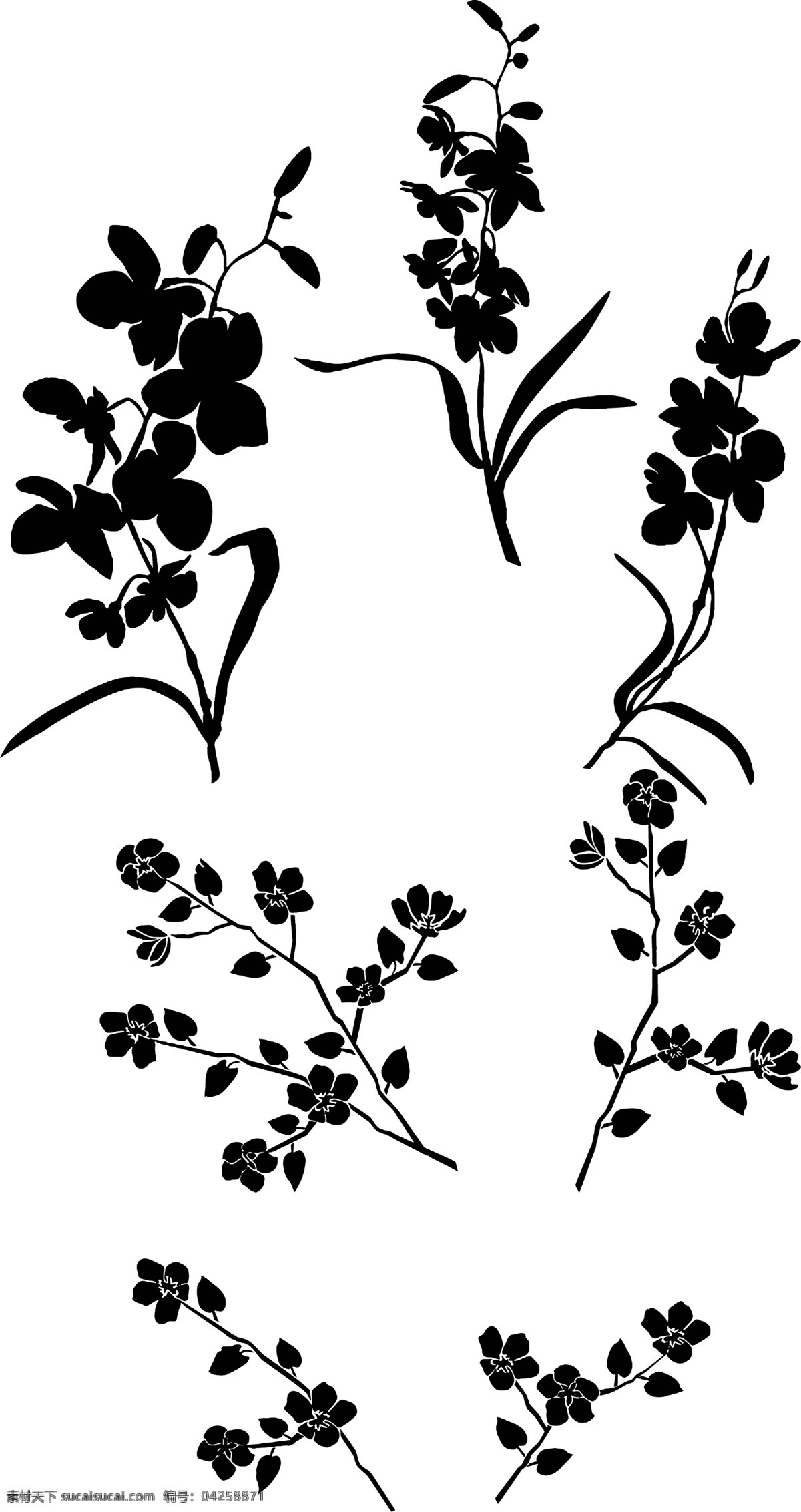 花 剪影 叶子 黑白花 植物图片 植物 手绘花