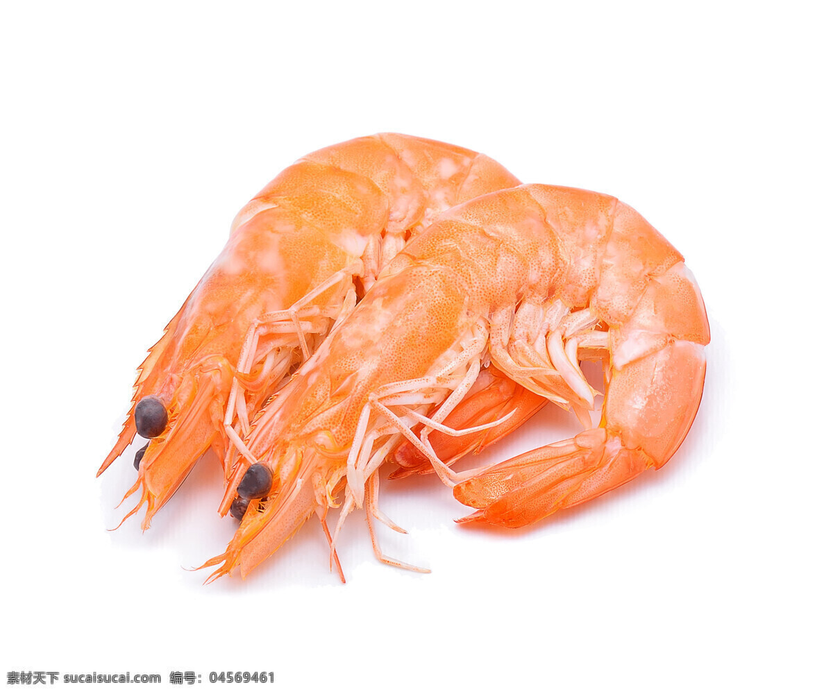 新鮮蝦仁 蝦仁 海鮮 烤蝦 烤蝦仁 白灼蝦仁 紅蝦仁 熟蝦仁 夾起蝦仁 蝦仁特寫 餐飲美食 傳統(tǒng)美食
