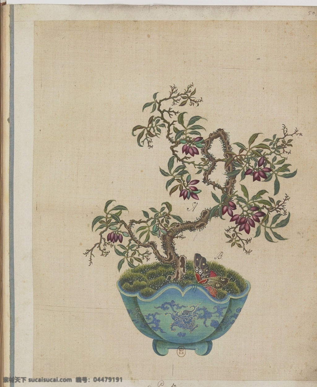 盆景花鳥圖片 盆景花鳥 盆景 花鳥 圖冊 盆景造景 造景 景致 龍紋 古風(fēng) 古代圖鑒 盆景圖鑒 花卉圖鑒 花卉 梅蘭竹菊 小盆景 盆景圖冊 掃描 電分稿 畫幅畫集賞析 文化藝術(shù) 繪畫書法 tiff