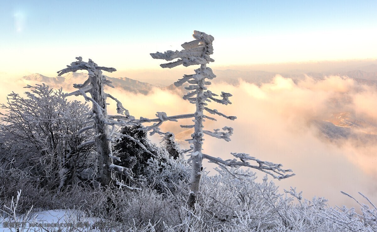 冬季 自然景觀 冬天 自然 森林 雪地 雪山 夕陽 藍(lán)天 自然風(fēng)景