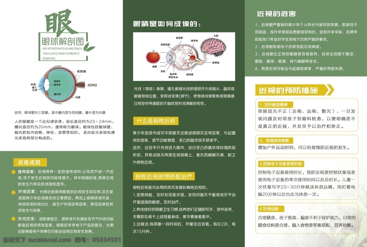 近視 科普 三 折頁 視力 矯正 宣傳 三折頁 生活百科 醫(yī)療保健