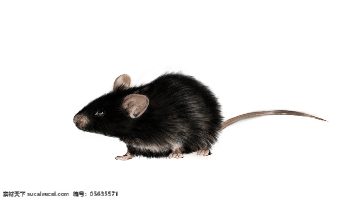 cg老鼠原画 老鼠 耗子 手绘 卡通 鼠疫 动漫 老鼠原画 插画 分层