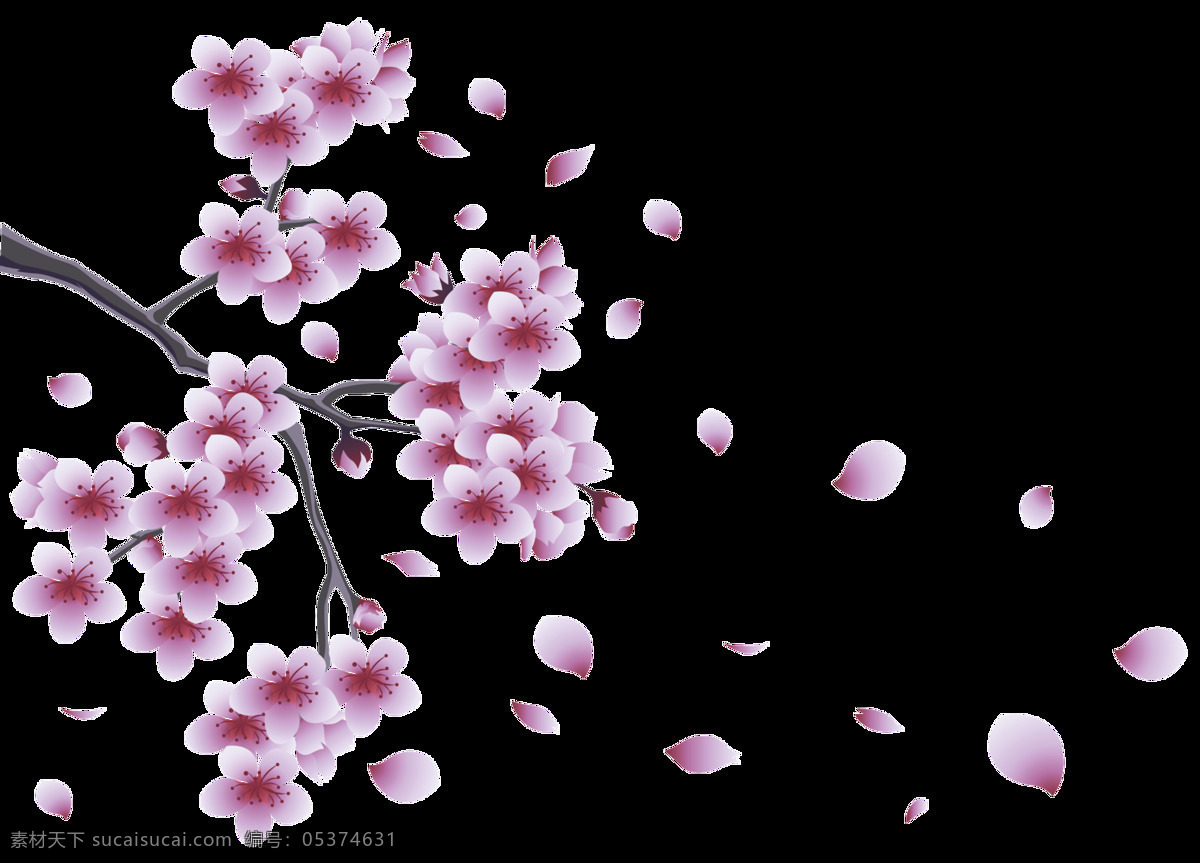 卡通 粉 紫色 梅花 元素 png元素 花瓣 花朵 免抠元素 飘落 树枝 透明素材