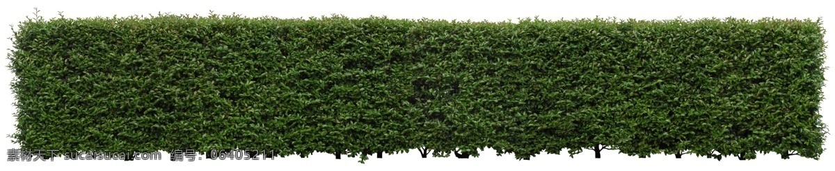 籬笆草皮 竹籬笆 石燈籠 庭石頭 園林 園藝 草叢 草堆 灌木 灌木叢 灌木林 花叢 花束 石頭