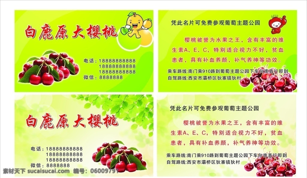 櫻桃名片 cdr分層 櫻桃 卡通水果 綠色底色 白鹿原櫻桃 櫻桃葉