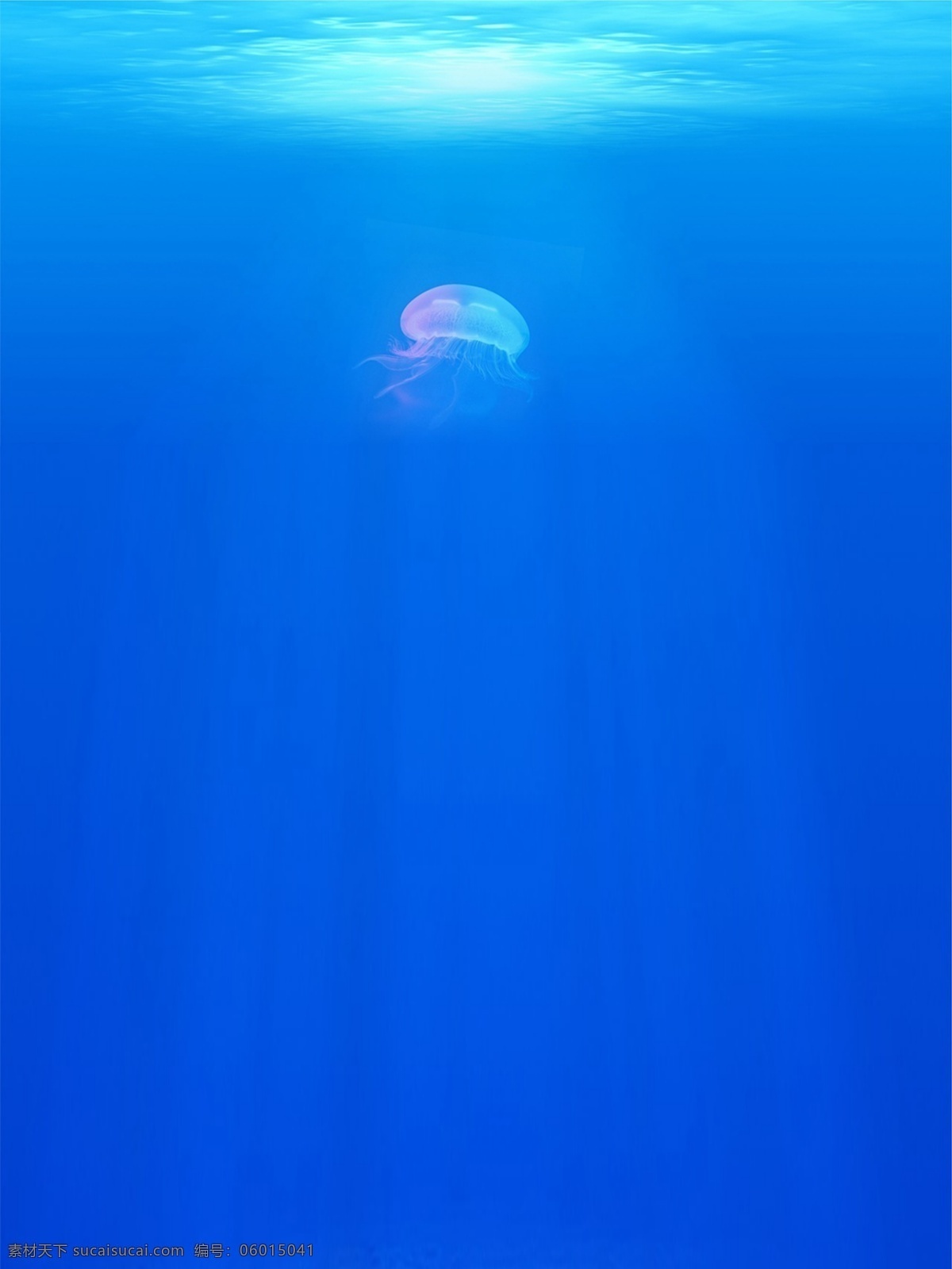 深海 水母 夏日 蓝色 渐变 清凉 商务 背景 海洋