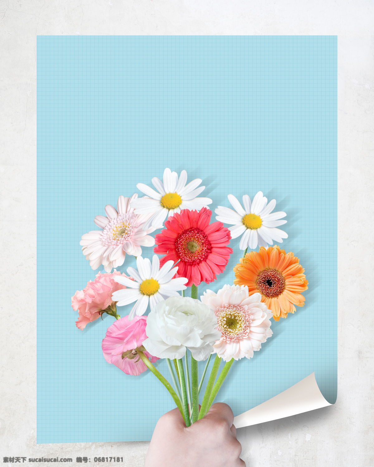 韩式 春季 春天 气息 唯美 海报 背景 花朵 扁平 蓝色 手 小雏菊