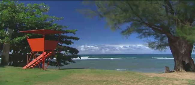 海岸 风光 美景 高清 实拍 视频 树木 自然风光 高清实拍