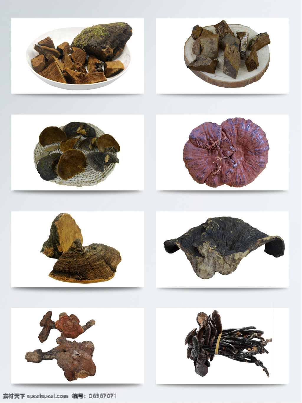 養(yǎng)生 珍品 真實(shí) 靈芝 免 扣 元素 保健 膳食滋補(bǔ) 食材 養(yǎng)生宣傳 藥材 藥物 中華美食 中藥 中藥材