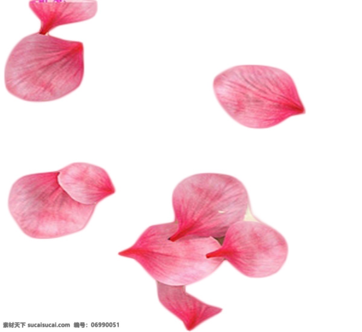 粉色 花瓣 香氣 襲 人 香氣襲人 芳香 美麗 好看