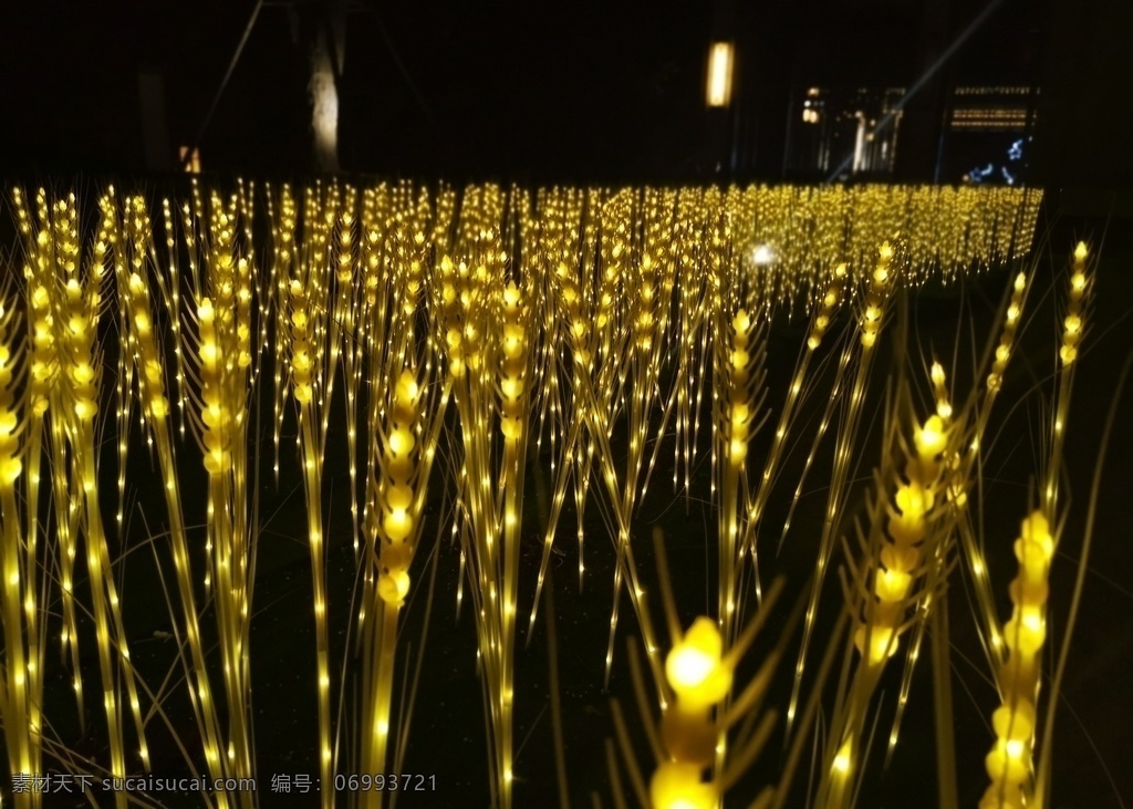 麥穗 麥穗燈光節(jié) 麥穗熒光燈 燈光 夜景 燈光節(jié)活動(dòng) 燈光藝術(shù)節(jié) 燈光藝術(shù) 霓虹燈 燈會(huì) 聚光燈 旅游攝影 國(guó)內(nèi)旅游