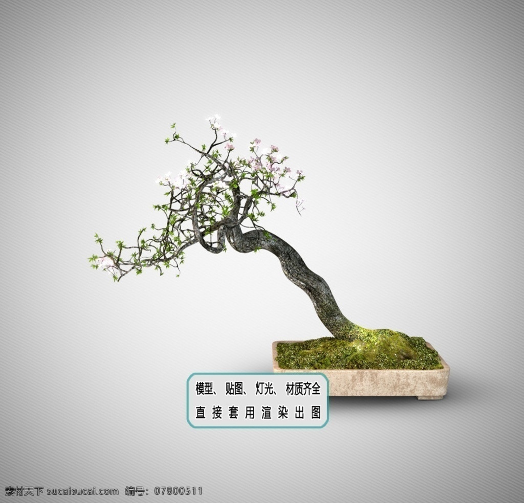 植物墻 盆栽 中式 盆景 3d 模型 植被 植物 降溫 隔熱 園林 環(huán)境 美化 排水 防水 花園 綠化 苗木 山水 景觀 花架 植物配置 喬木 灌木 種植 綠地 園椅 多肉 散植 叢植 生態(tài)系統(tǒng) 生物多樣性 智能灌溉 凈化空氣 花卉 蔬菜 環(huán)境設(shè)計 室內(nèi)設(shè)計 max